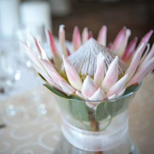 decor4u2.jpg
